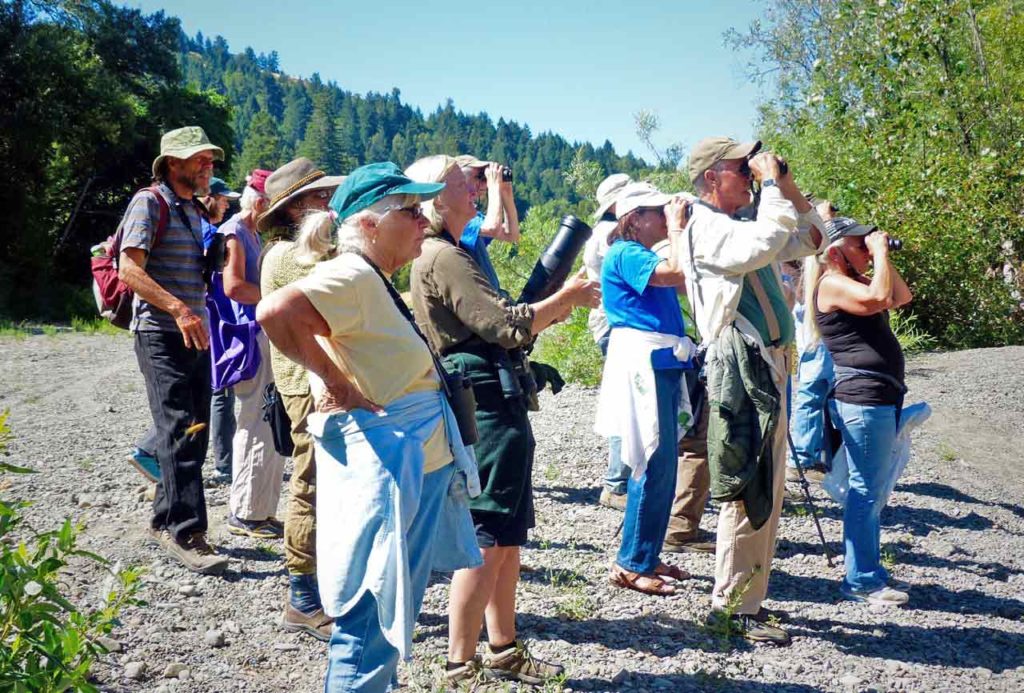 Birders birdwatching at the Park, a best birding location.