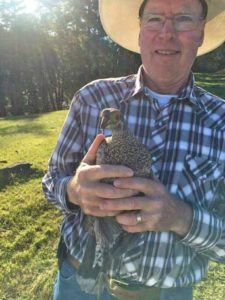 Rancher Todd Phelps gently holds wild grouse friend