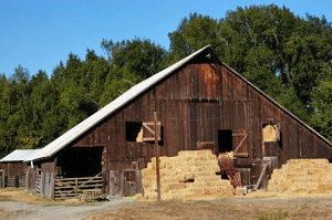 A Park Barn with Hay