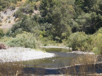 Eel-River-running-through-the-park