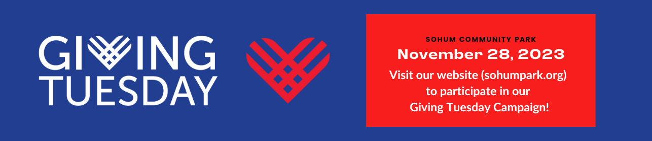 giving-tuesday-banner